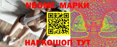 сатива Новозыбков