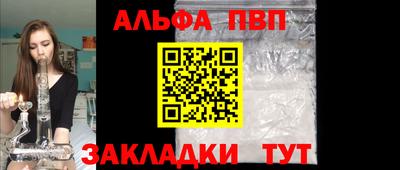 сатива Новозыбков