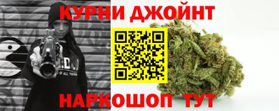 сатива Новозыбков
