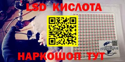сатива Новозыбков