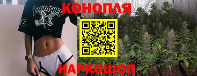 Альфа ПВП Новокубанск