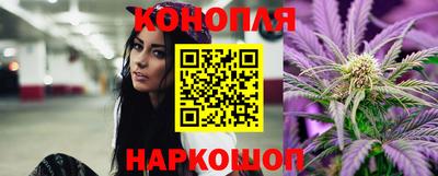 Альфа ПВП Новокубанск