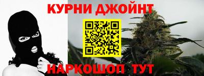 сатива Новозыбков