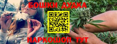 Альфа ПВП Новокубанск