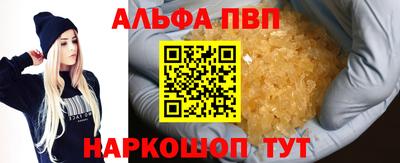 сатива Новозыбков