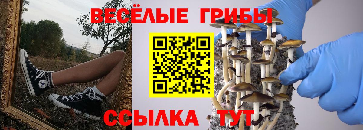 Челябинск  Псилоцибиновые грибы Psilocybe  Вход с VPN 